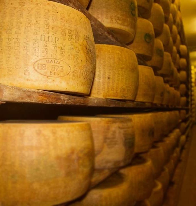 Formaggiera Grande Parmigiano Reggiano - Latteria Nuova Mandrio